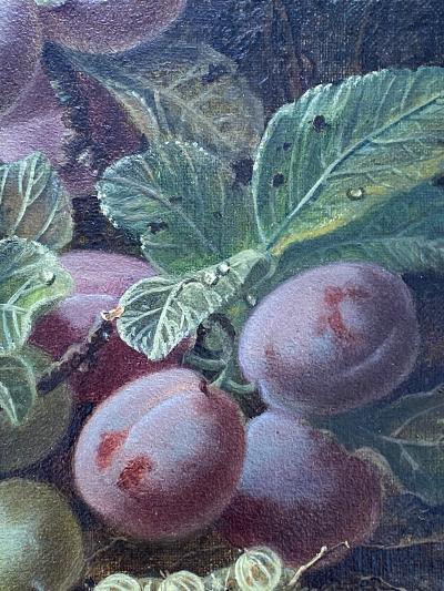 Oliver Clare Plums 