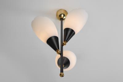 Opal Glass and Lacquered Metal Chandelier with Brass Details Europe 1950s