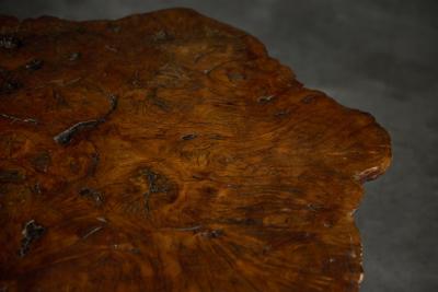 Organic Burl Wood Coffee Table France 1950s