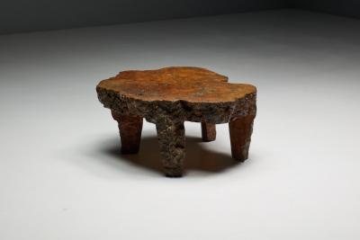 Organic Burl Wood Coffee Table France 1950s