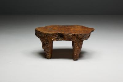 Organic Burl Wood Coffee Table France 1950s