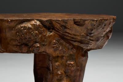 Organic Burl Wood Coffee Table France 1950s