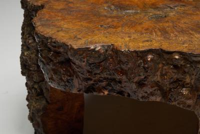 Organic Burl Wood Coffee Table France 1950s