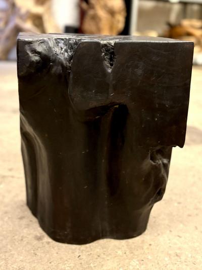 Organic Modern Black Teak Wood Side Table Stool IDN 2025