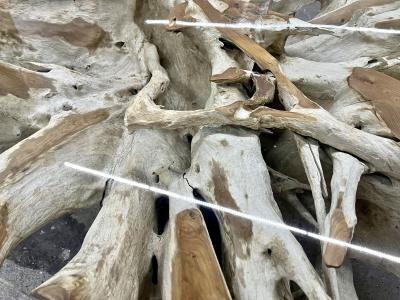 Organic Modern Bleeched Teak Root Coffee Table With Glass Plate IDN 2024