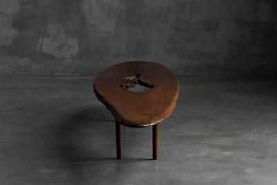 Organic Modern Coffee Table with Natural Void France Mid 20th Century