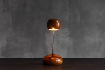 Organic Modern Olive Wood Table Lamp Circa 1970