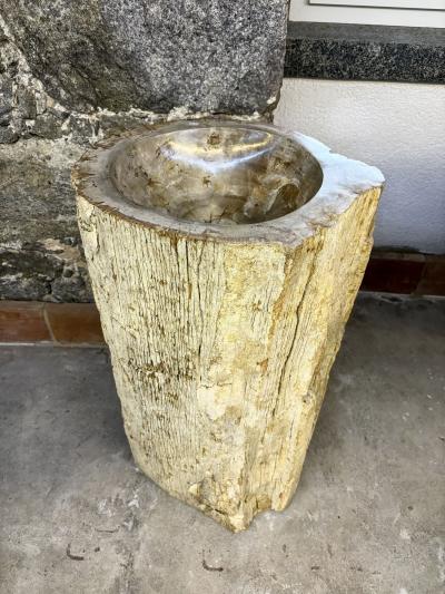 Organic Modern Petrified Wood Pedestal Sink IDN 2025