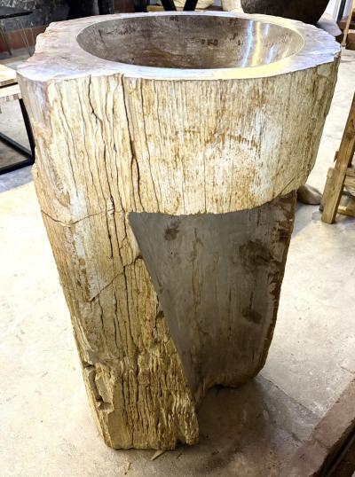 Organic Modern Petrified Wood Pedestal Sink IDN 2025