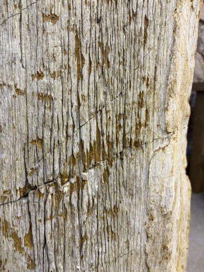 Organic Modern Petrified Wood Pedestal Sink IDN 2025