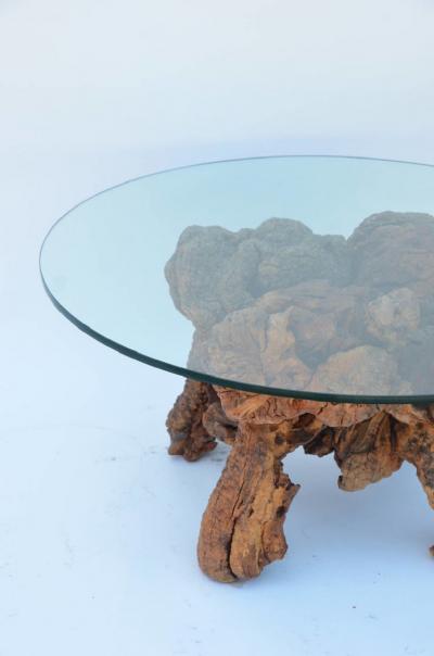 Organic Modern Quadripod Bog Wood and Glass Coffee Table