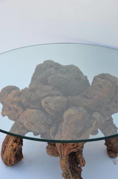 Organic Modern Quadripod Bog Wood and Glass Coffee Table