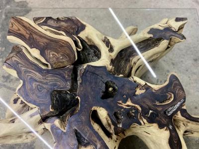 Organic Modern Root Table with Safety Glass Table Top Sonokeling Wood 2024