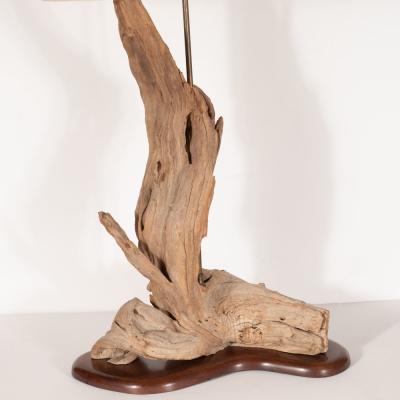 Organic Modern Sculptural Driftwood Table Lamp with Handrubbed Walnut Base