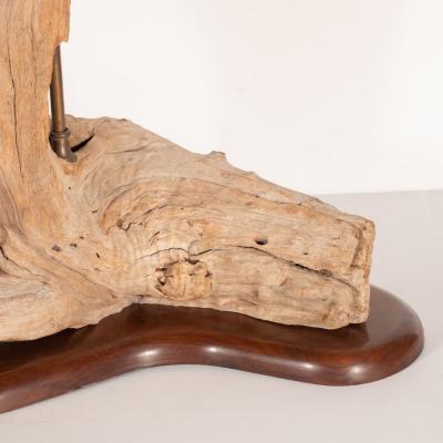 Organic Modern Sculptural Driftwood Table Lamp with Handrubbed Walnut Base