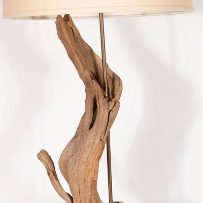 Organic Modern Sculptural Driftwood Table Lamp with Handrubbed Walnut Base