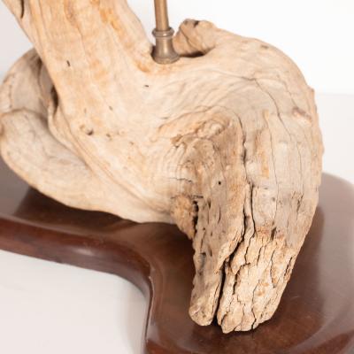 Organic Modern Sculptural Driftwood Table Lamp with Handrubbed Walnut Base