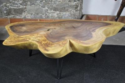 Organic Modern Suar Tree Coffee Table on Black Metal Feet