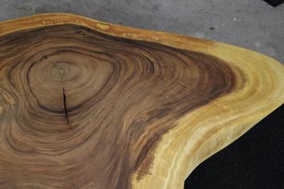 Organic Modern Suar Tree Coffee Table on Black Metal Feet