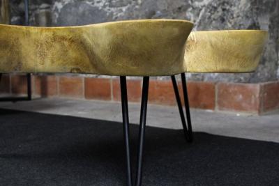 Organic Modern Suar Tree Coffee Table on Black Metal Feet