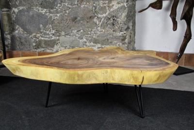 Organic Modern Suar Tree Coffee Table on Black Metal Feet