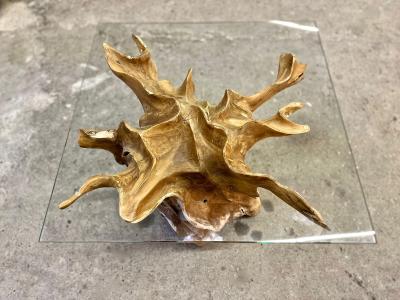 Organic Modern Teak Root Coffee Table With Safety Glass Top IDN 2025