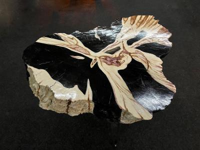 Organic Modern Teak Wood Side Table Handpainted Petrified Wood Style 2025