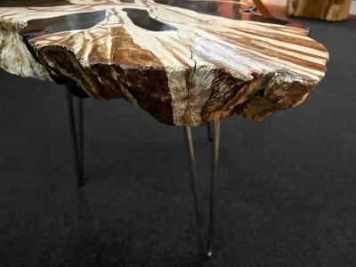 Organic Modern Teak Wood Side Table Handpainted Petrified Wood Style 2025