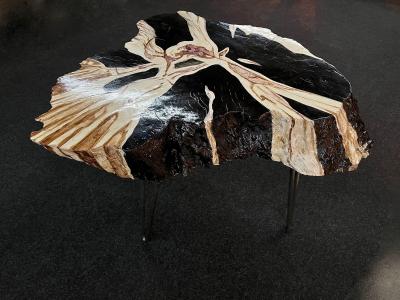 Organic Modern Teak Wood Side Table Handpainted Petrified Wood Style 2025