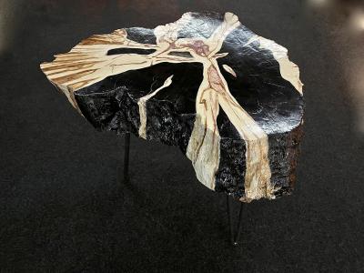Organic Modern Teak Wood Side Table Handpainted Petrified Wood Style 2025