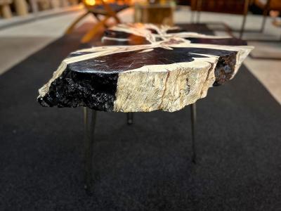 Organic Modern Teak Wood Side Table Handpainted Petrified Wood Style 2025