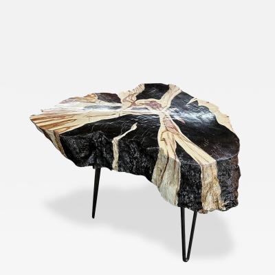 Organic Modern Teak Wood Side Table Handpainted Petrified Wood Style 2025