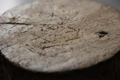 Organic Wabi Sabi Stool France 19th Century