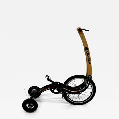 Original Bowqi Stand Up Exercise Half Bike Folding