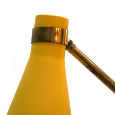 Oscar Torlasco Oscar Torlasco Mid Century Brass Floor Lamp