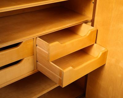 Osvaldo Borsani 2 Door Cabinet by Osvaldo Borsani Lucio Fontana for ABV