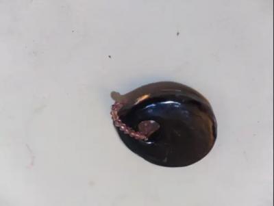 Oval Handblown Glass Silver Abstract design Pendant