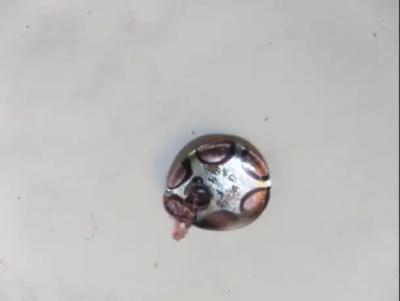 Oval Handblown Glass Silver Abstract design Pendant