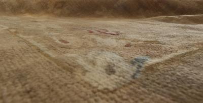Oversized Antique French Directoire Savonnerie Carpet