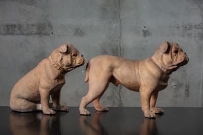 PAIR OF TERRACOTTA BULLDOGS