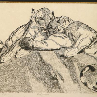 PAUL JOUVE Paul Jouve Tigers au repose Tigers resting Circa 1930