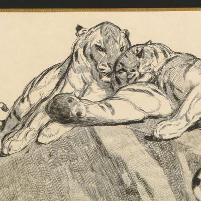 PAUL JOUVE Paul Jouve Tigers au repose Tigers resting Circa 1930