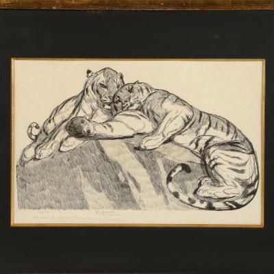 PAUL JOUVE Paul Jouve Tigers au repose Tigers resting Circa 1930