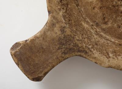 PRIMITIVE PLATE WITH HANDLE