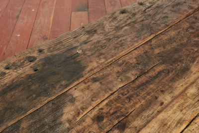 PRIMITIVE WOOD BENCH