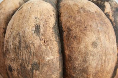 PRIMITIVE WOOD MOLD