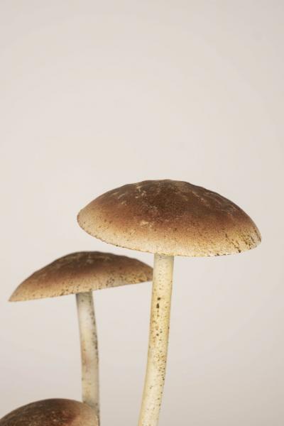 Painted French Tole Mushroom Decoration