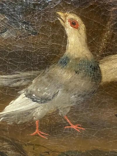 Painting of Birds Attributed to Marmaduke Craddock