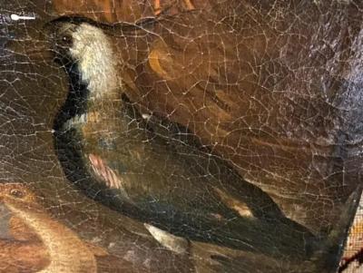 Painting of Birds Attributed to Marmaduke Craddock