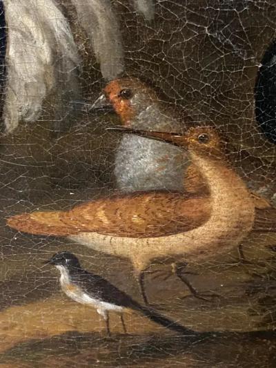 Painting of Birds Attributed to Marmaduke Craddock